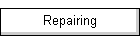 Repairing